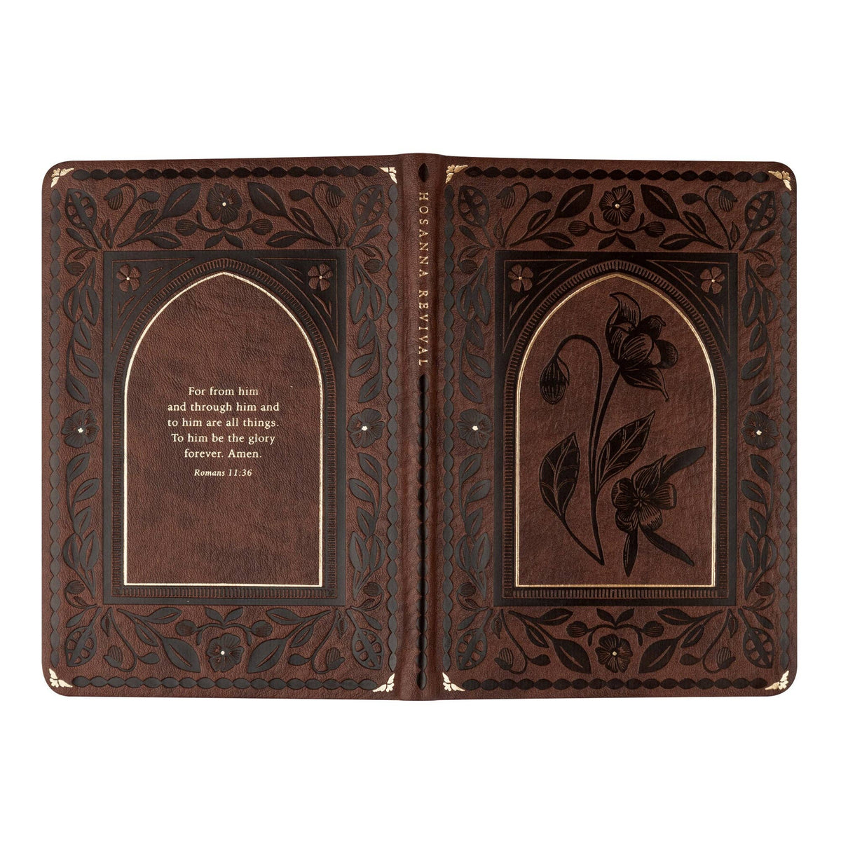 Notebook: Palma Theme