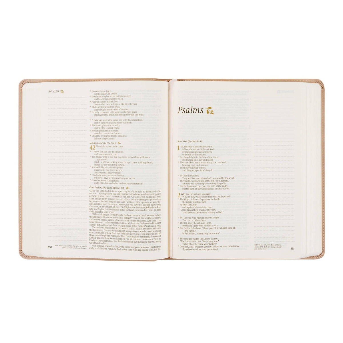NLT Notetaking Bible: Shiloh Theme
