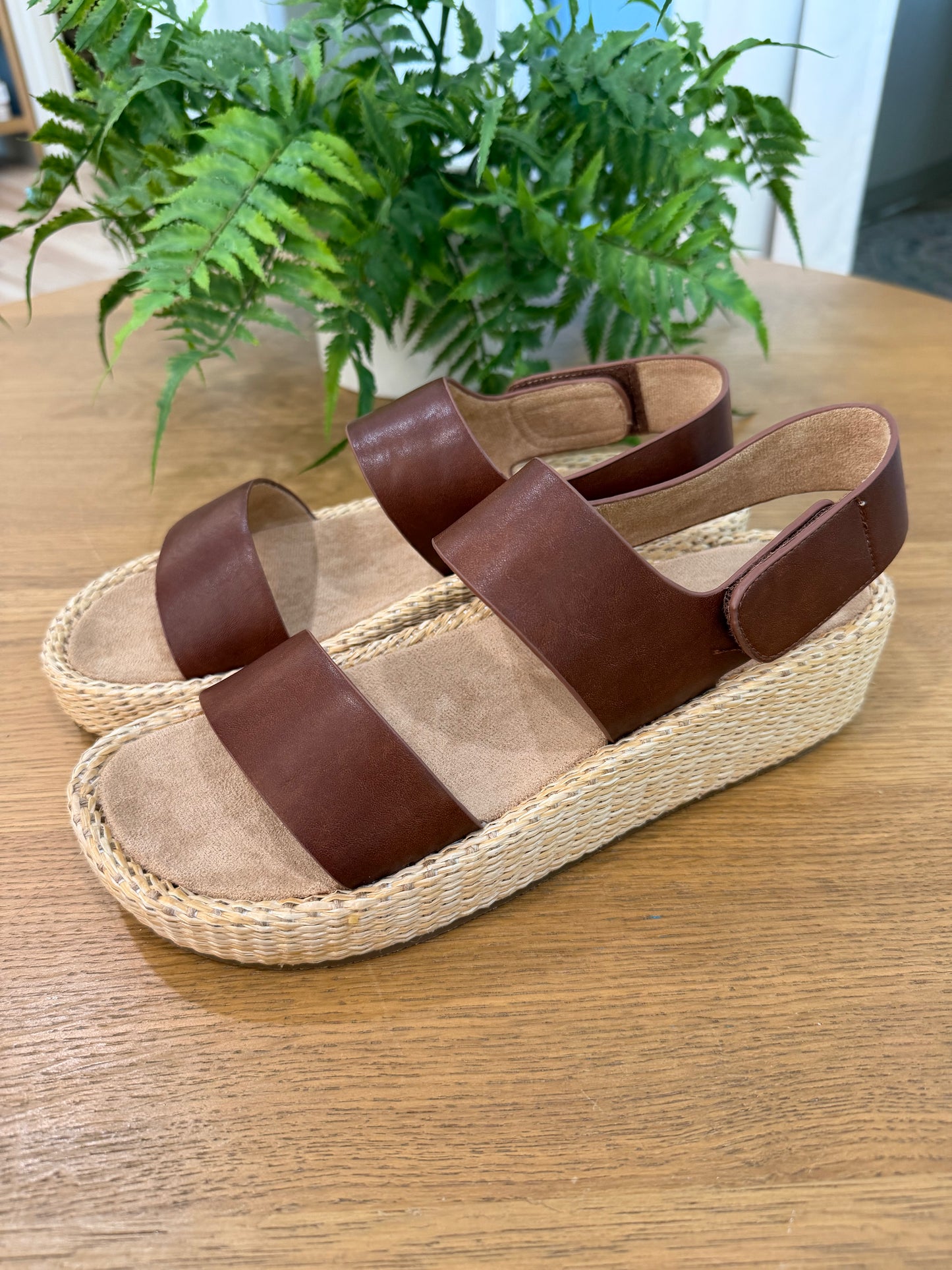 Corky’s Heatwave Mahogany
